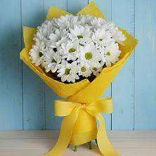 Букет цветов из:  Хризантемы в Новинки Нижний Новгород