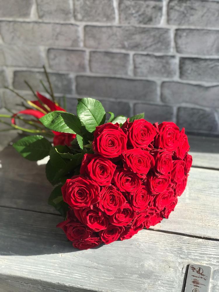 Букет Красные розы Фридом в Новинки Нижний Новгород
