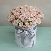 Цветочная композиция из Розы в шляпной коробке #REPLACE_PRED# Новинки Нижний Новгород