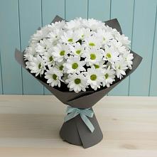 Букет цветов из:  Хризантемы в Новинки Нижний Новгород