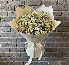 Букет цветов из:  Ромашки в Новинки Нижний Новгород