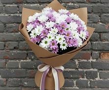 Букет цветов из:  Хризантемы в Новинки Нижний Новгород