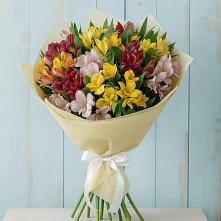 Букет цветов из:  Альстромерии в Новинки Нижний Новгород
