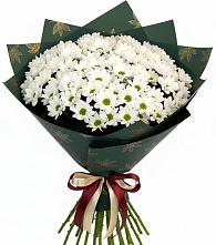 Букет цветов из:  Хризантемы в Новинки Нижний Новгород