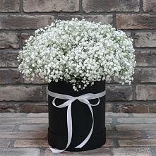 Цветочная композиция из Гипсофила в шляпной коробке в Новинки Нижний Новгород