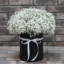 Цветочная композиция из Гипсофила в шляпной коробке в Новинки Нижний Новгород