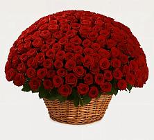 Премиум букет из: Розы в Новинки Нижний Новгород