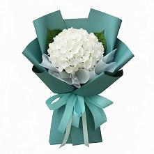 Букет цветов из:  Гортензия в Новинки Нижний Новгород